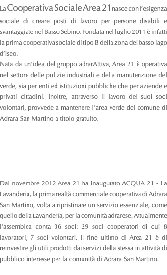 La Cooperativa Sociale Area 21nasce con l’esigenza sociale di creare posti di lavoro per persone disabili e svantaggiate nel Basso Sebino. Fondata nel luglio 2011 è infatti la prima cooperativa sociale di tipo B della zona del basso lago d’Iseo. Nata da un’idea del gruppo adrarAttiva, Area 21 è operativa nel settore delle pulizie industriali e della manutenzione del verde, sia per enti ed istituzioni pubbliche che per aziende e privati cittadini. Inoltre, attraverso il lavoro dei suoi soci volontari, provvede a mantenere l’area verde del comune di Adrara San Martino a titolo gratuito. Dal novembre 2012 Area 21 ha inaugurato ACQUA 21 - La Lavanderia, la prima realtà commerciale cooperativa di Adrara San Martino, volta a ripristinare un servizio essenziale, come quello della Lavanderia, per la comunità adrarese. Attualmente l'assemblea conta 36 soci: 29 soci cooperatori di cui 8 lavoratori, 7 soci volontari. Il fine ultimo di Area 21 è di reinvestire gli utili prodotti dai servizi della stessa in attività di pubblico interesse per la comunità di Adrara San Martino. 